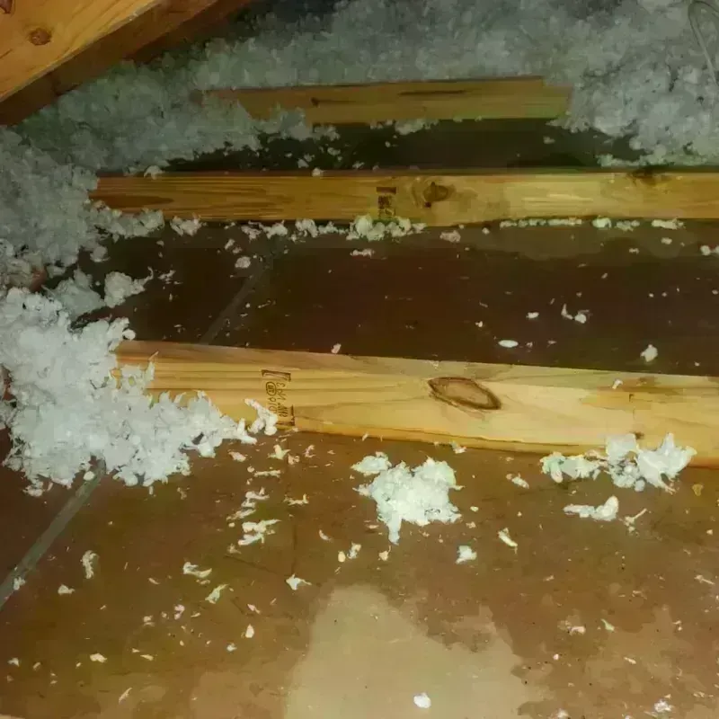 Attic Water Damage in Roslyn Estates, NY